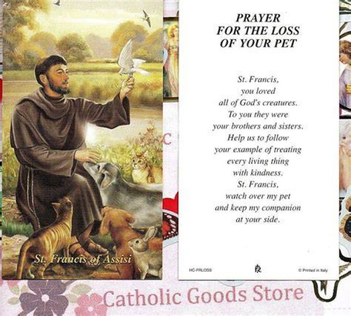 Catholic Prayers For Deceased Pets