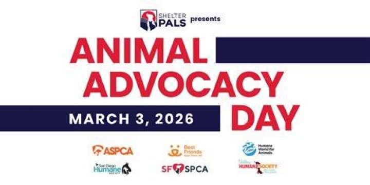 From Hollywood To Animal Advocacy