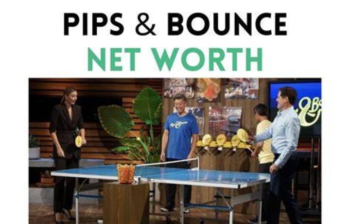 Pips and Bounce Net Worth digital idea times