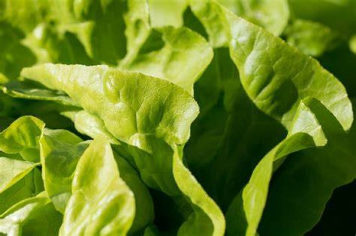 Poznaj Kiarę Russell Wszystko o nowej dziewczynie Kehlani
