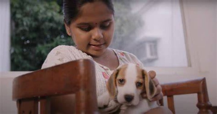 Review Of Vijay Sethupathi’s Mughizh A Sweet Little Children’s Film