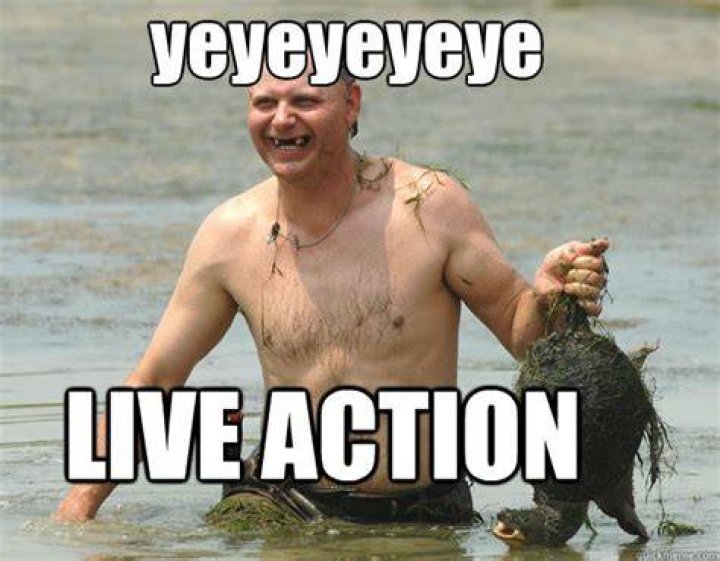 Turtle Man Quotes. QuotesGram