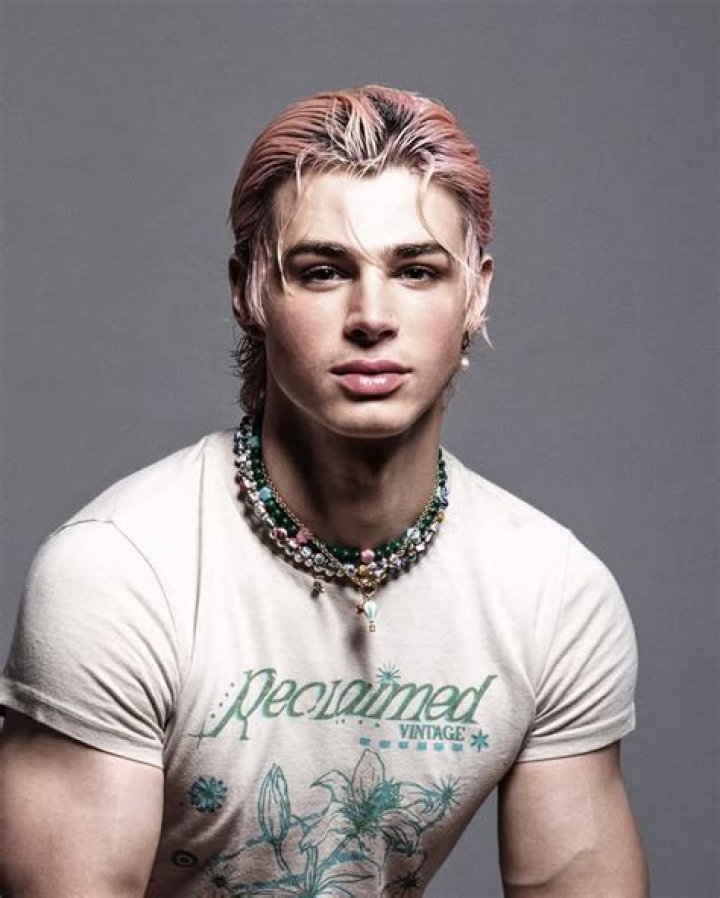 Uncover The Intriguing Journey Of Pierre Boo: Age And Artistic Evolution