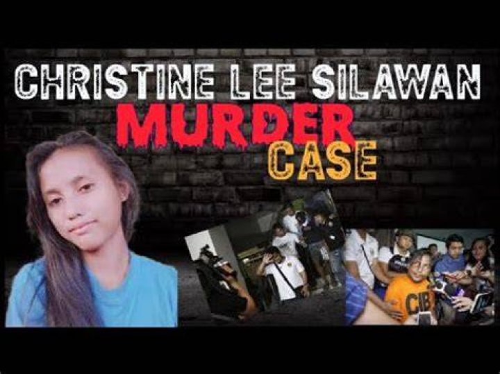 Uncovering The Truth Behind Christine Lee's Case