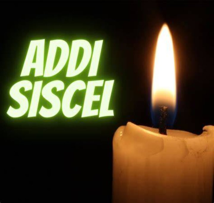 Unlock The Secrets Of Addi Siscel Francis Howell: A Lifestyle Guru's Journey