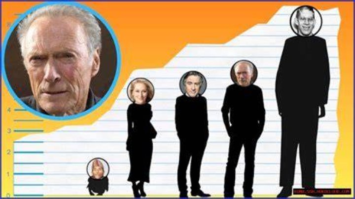 Unveiling Maine Musik Height: Discoveries And Insights Await